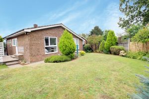 Photo 12- click for photo gallery